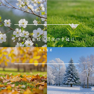 免费国产午夜视频在线
