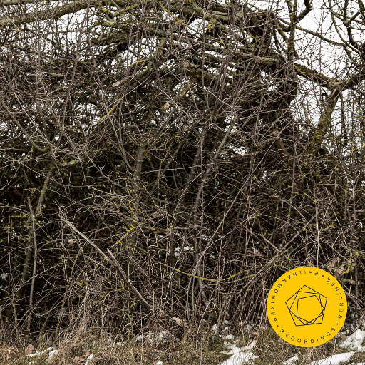 免费国产午夜视频在线
